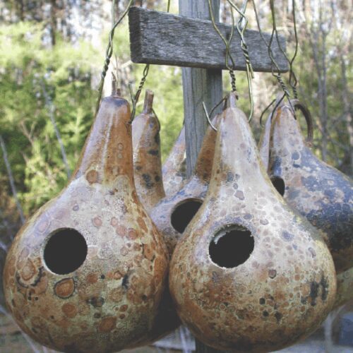 Birdhouse & Dipper (combined) - Gourd Seeds