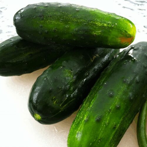 Bush Pickle - Cucumber