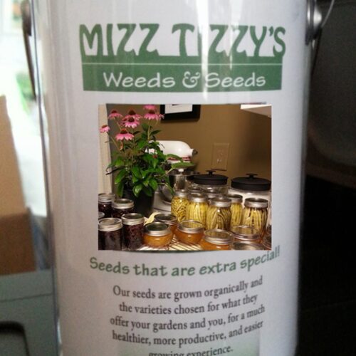 Vegetable Seed Collection