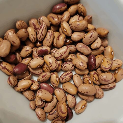 Vermont Cranberry Beans