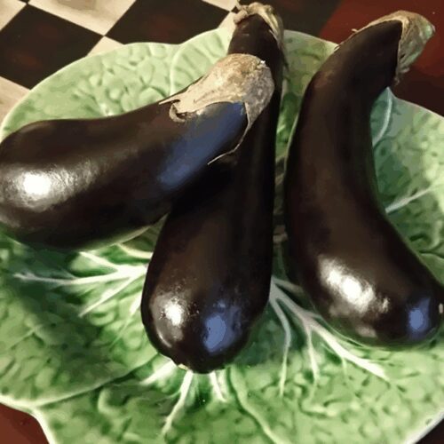 Orient Express - Eggplant