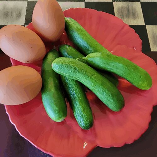 Mini Me - Cucumber