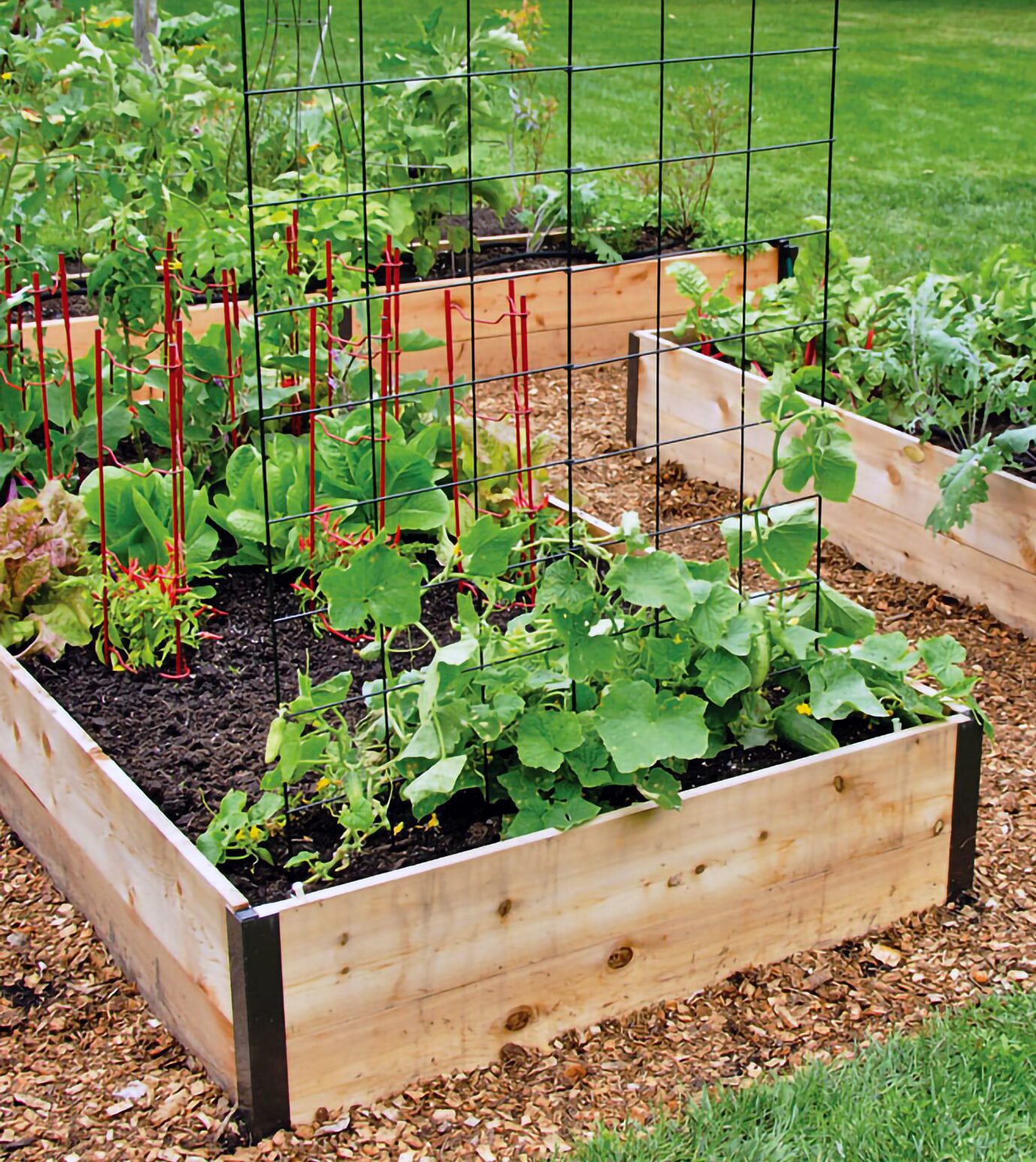 Raised Garden Beds