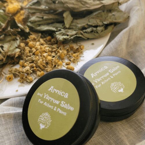 Arnica and Yarrow Flower Salve
