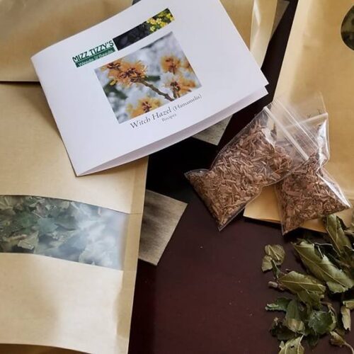 Witch Hazel - Hamamelis virginiana - Leaves and Bark