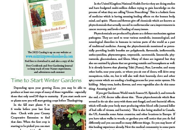 FALL Newsletter Pg.1