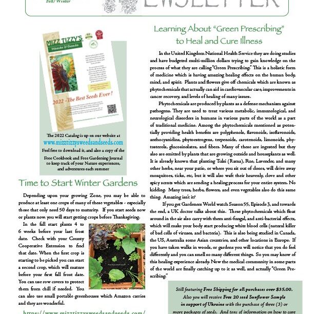 FALL Newsletter Pg.1