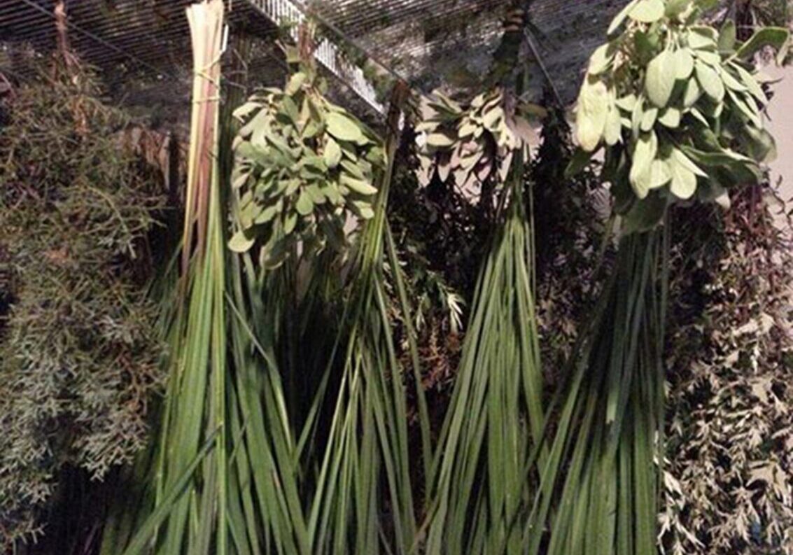 HERBS-Drying