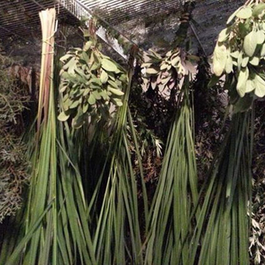 HERBS-Drying