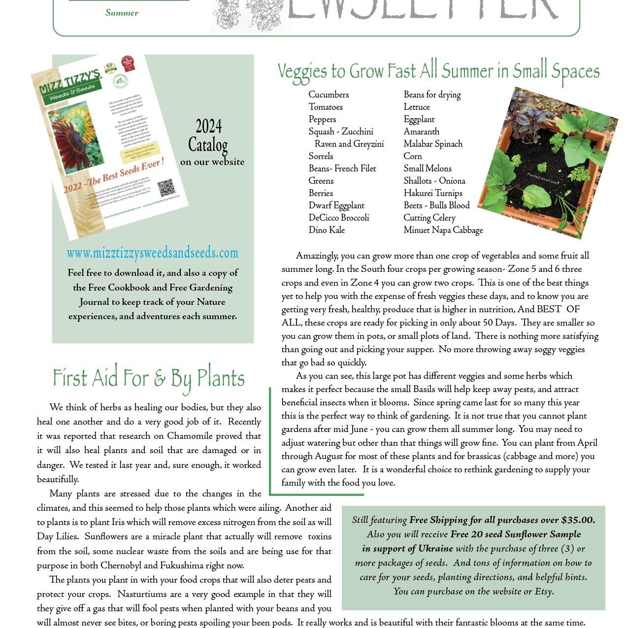 NEWSLET-Summer pg1