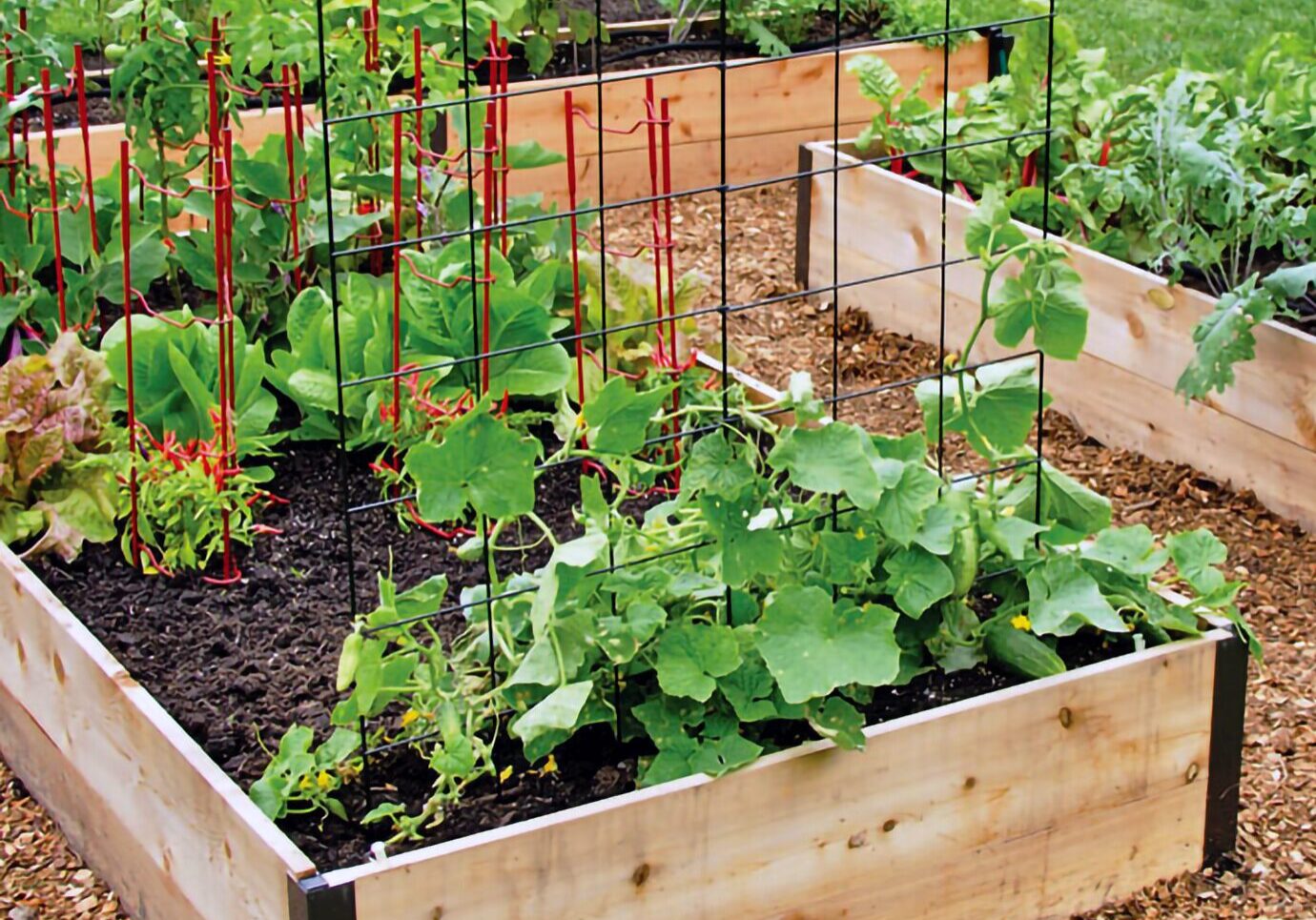 Raised Garden Beds