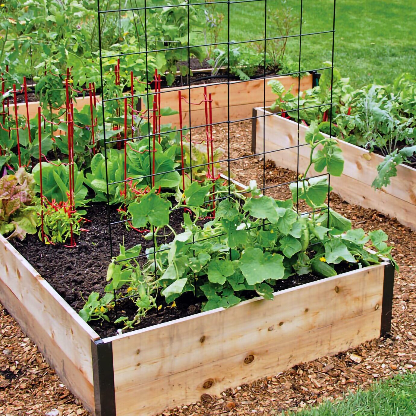 Raised Garden Beds